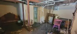Why Fast, Professional Mold Removal Matters (And Why You Should Call Not Your Average Mold Guys)