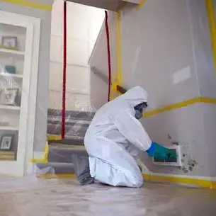 Mold Removal