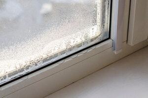 Mold Remediation Process for Your Home: Protect Your Space and Health