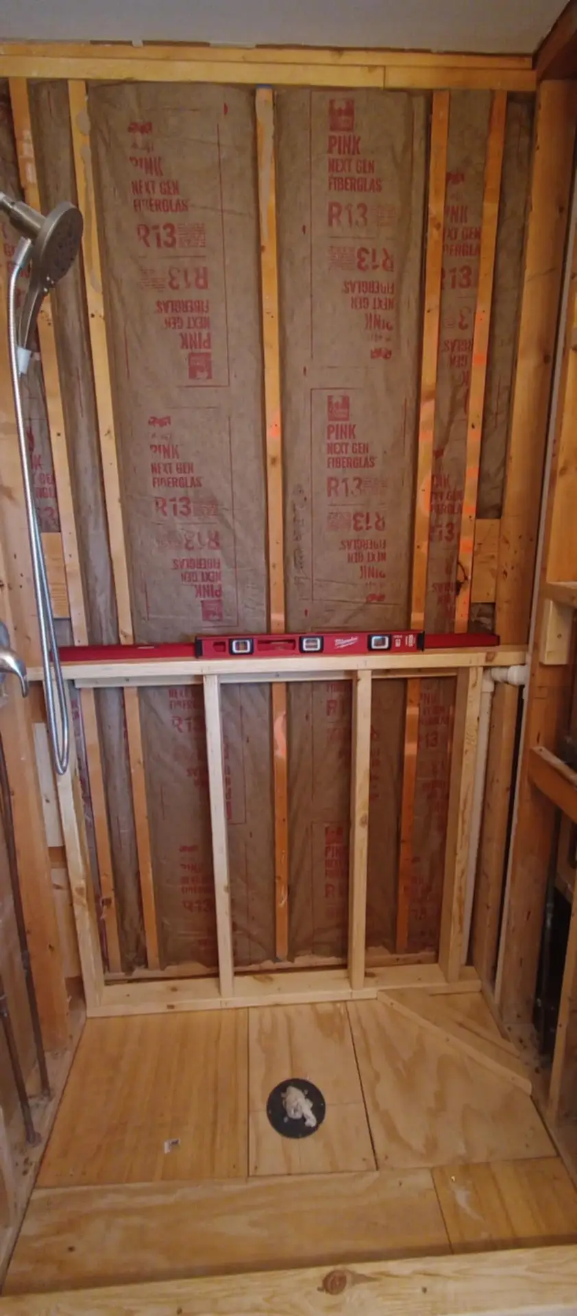 Hidden Mold during Renovation