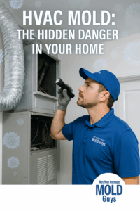 Post-Storm Mold Prevention | Not Your Average Mold Guys