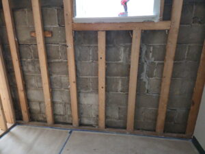 Why Hidden Water Leaks Lead to Mold Growth — How to Spot & Protect Your Home