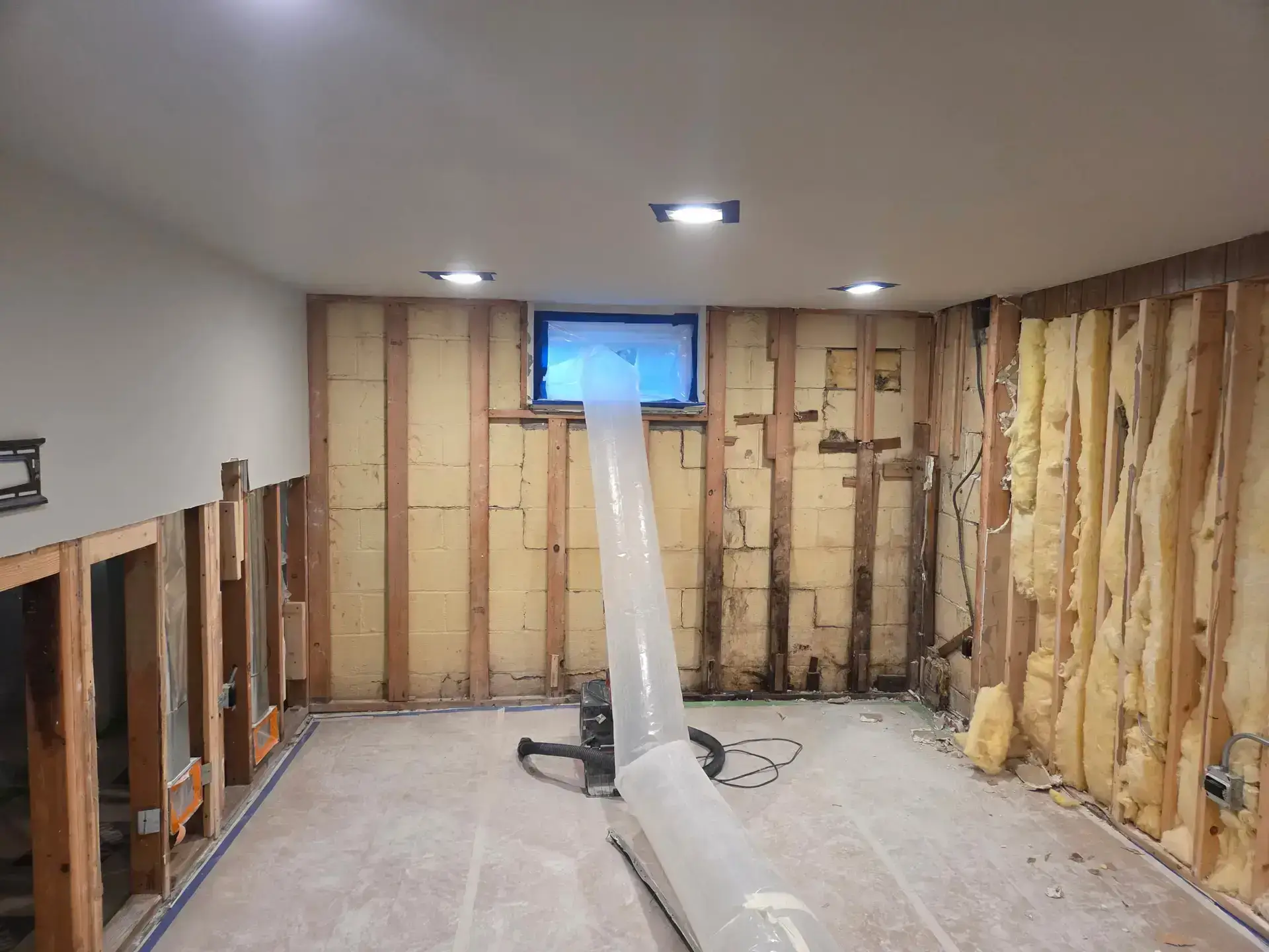 Mold Remediation Aurora IL