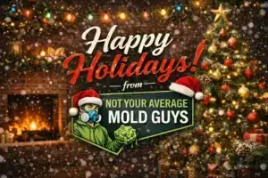 Holiday Home and Safe Bathrooms: Remodeling with Not Your Average Mold Guys