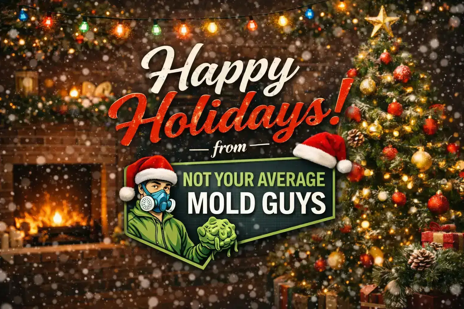 Not Your Average Mold Guys