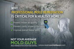 Why Professional Mold Remediation Matters This Holiday Season | Not Your Average Mold Guys
